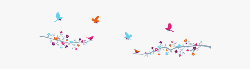 Flores Orla, HD Png Download