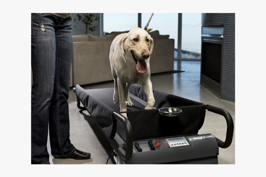 Pz1703 Action Highres, HD Png Download