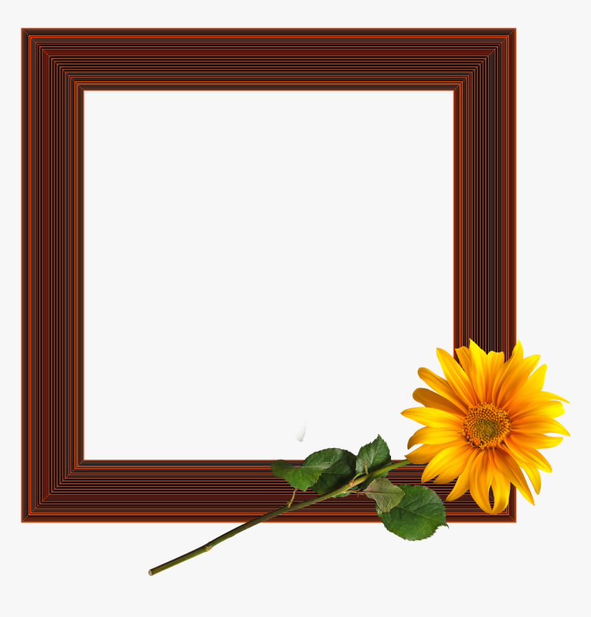 Picture Frame, HD Png Download