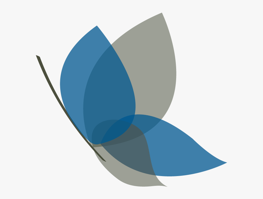 Graphic Design, HD Png Download