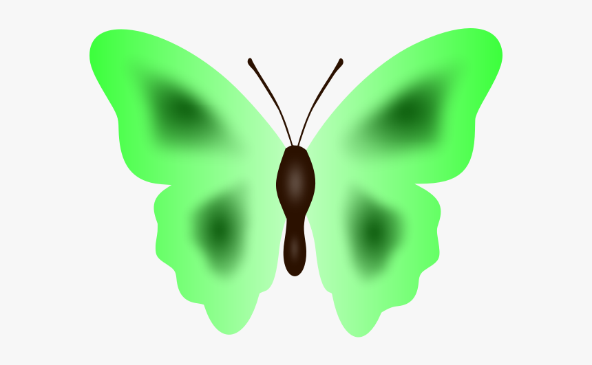 Butterfly In Green Color - Butterfly, HD Png Download