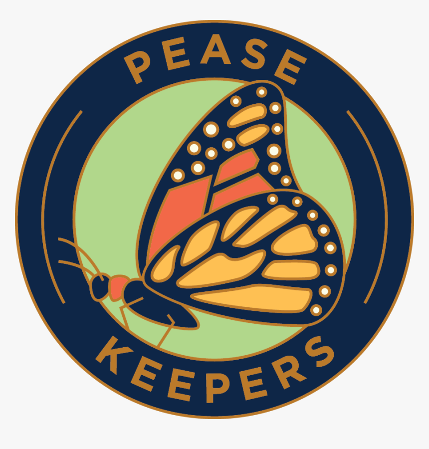 Butterfly - Burning Plain Movie Poster, HD Png Download