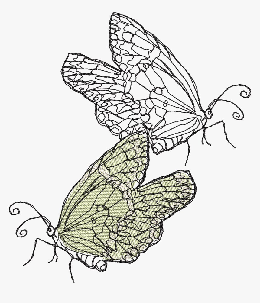 Line Art, HD Png Download