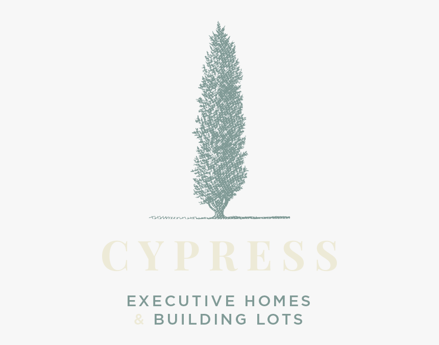 Logo Cypress White - Christmas Tree, HD Png Download