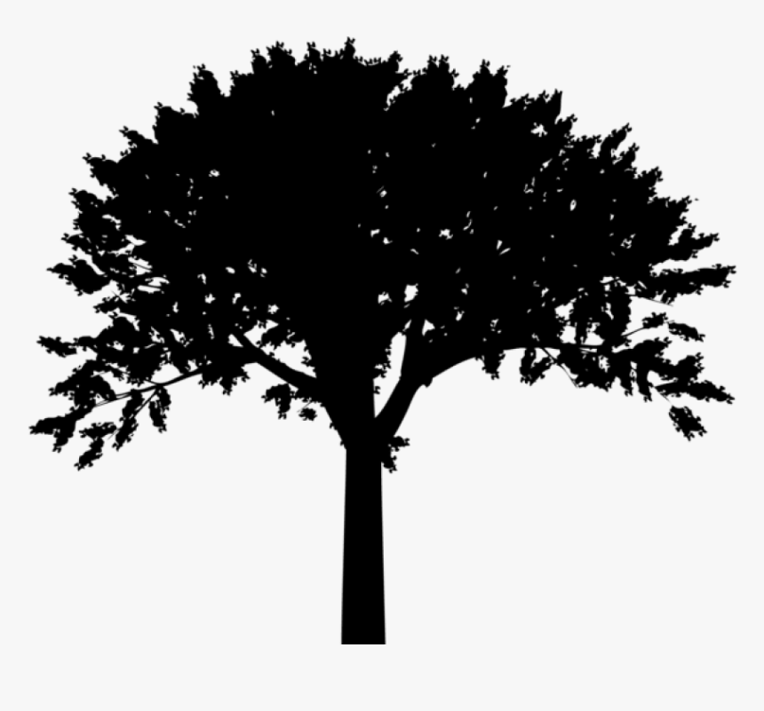 Free Png Tree Silhouette Png Png - Tree Silhouette Transparent Background, Png Download