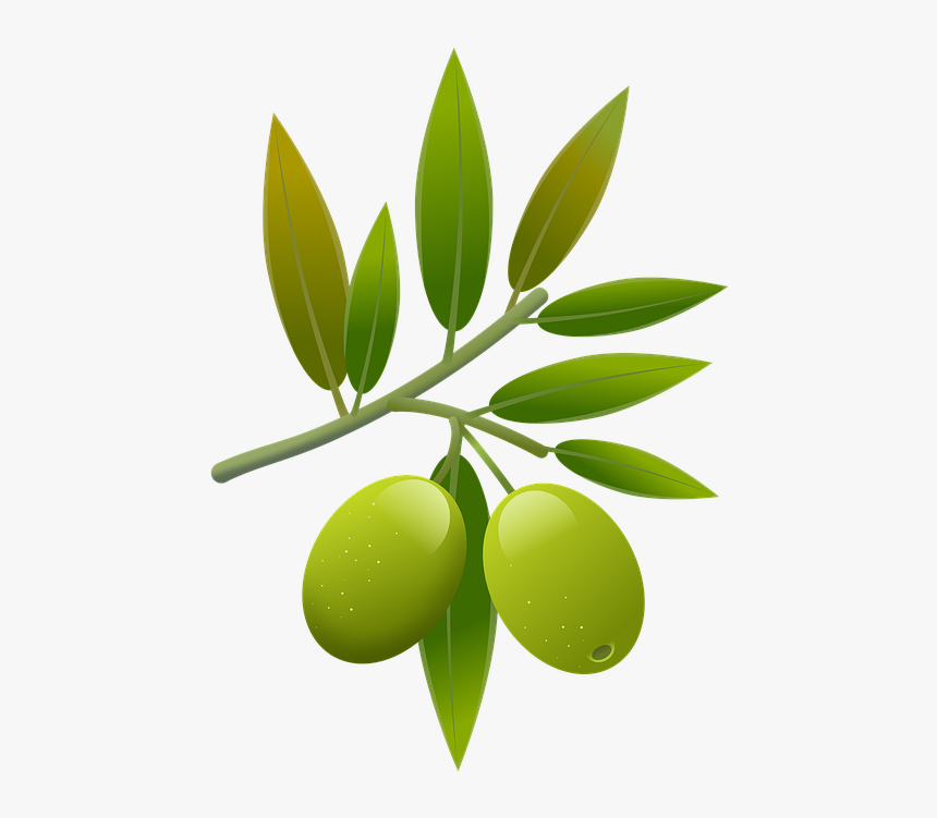 Olive, HD Png Download