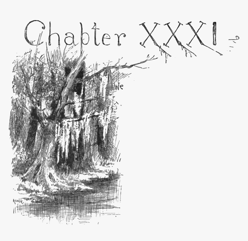 Adventures Of Huckleberry Finn 1885-p266 - Huckleberry Finn Tree, HD Png Download