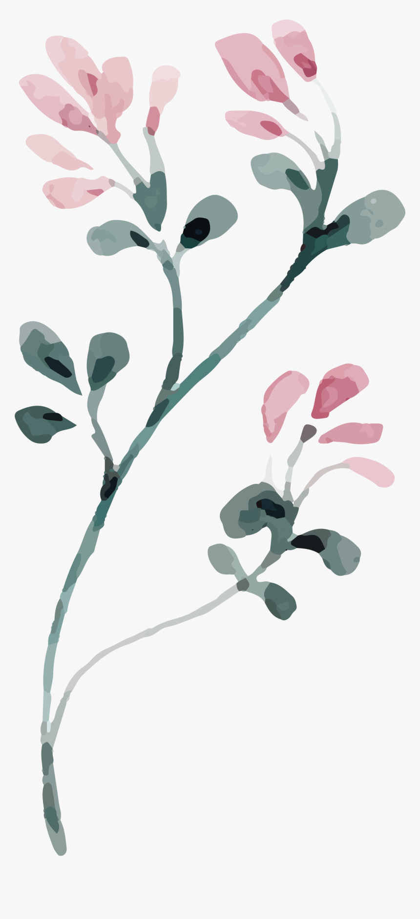 Happy 50th Birthday - Smoketree, HD Png Download