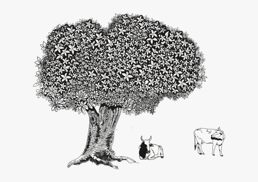 Tree, HD Png Download