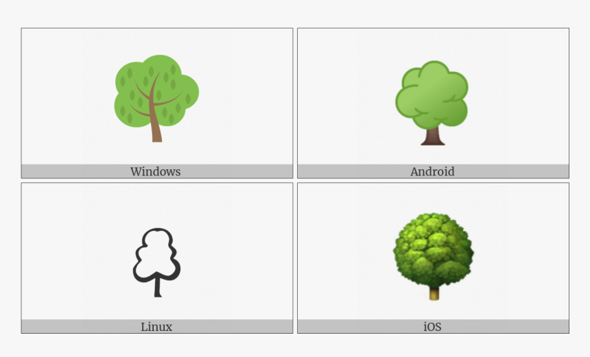 Deciduous Tree On Various Operating Systems - Broccoli, HD Png Download