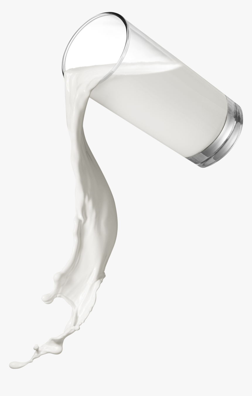 Still Life Photography, HD Png Download