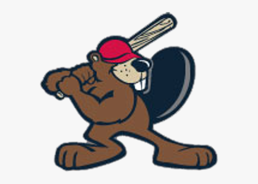 Cartoon Beavers Play Baseball, HD Png Download