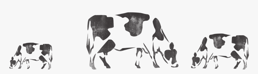Cattle - Dairy Cow, HD Png Download