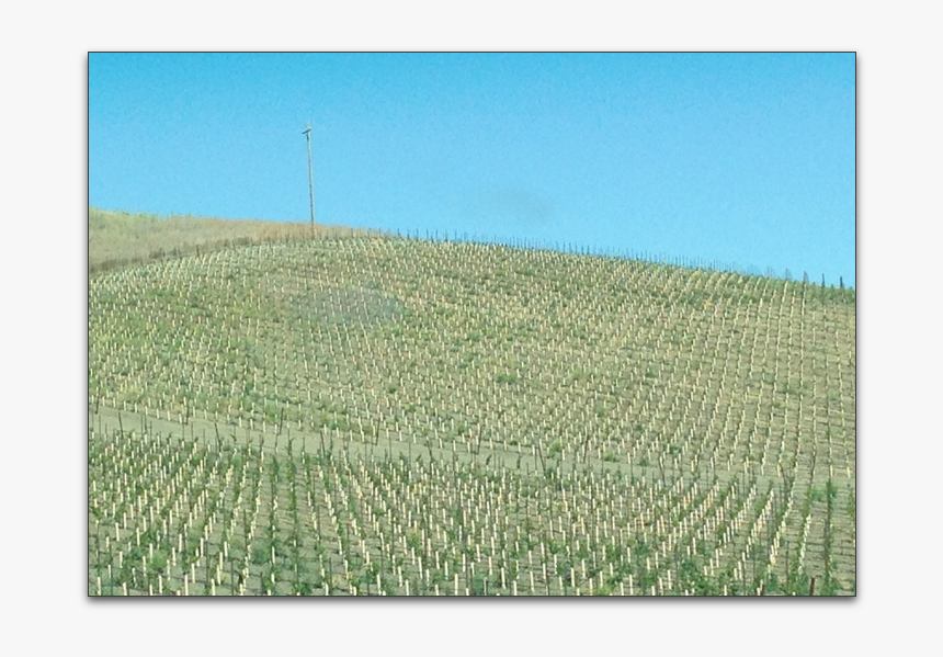 Grand Canyon - Field, HD Png Download
