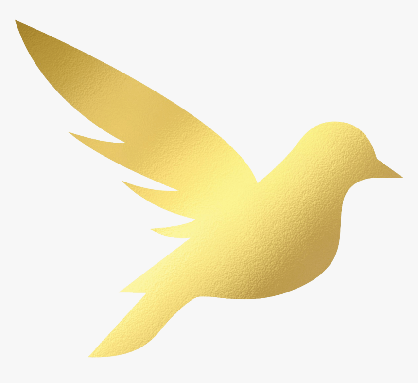 Gold Sparrow Marketing - Sparrow Gold, HD Png Download