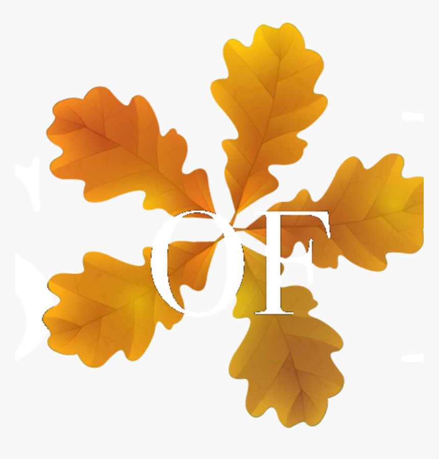 Maple Leaf, HD Png Download