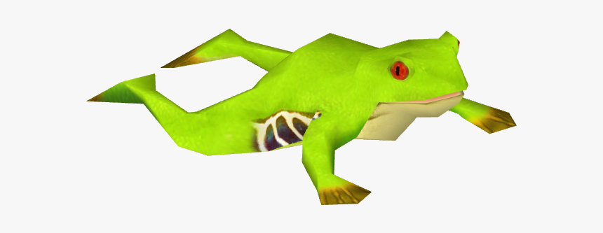 Ambienttemplate - Red-eyed Tree Frog, HD Png Download