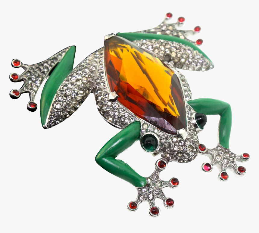 Tree Frog Png, Transparent Png
