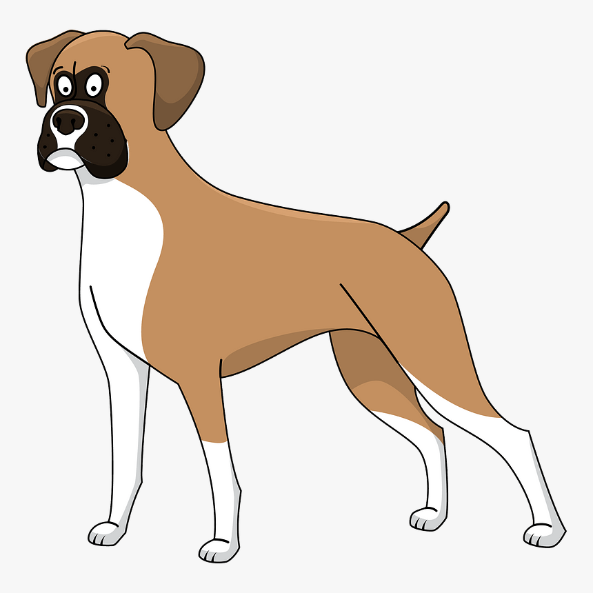 Boxer, HD Png Download