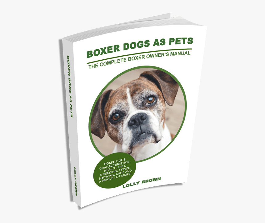 Psoriasis In Dogs, HD Png Download