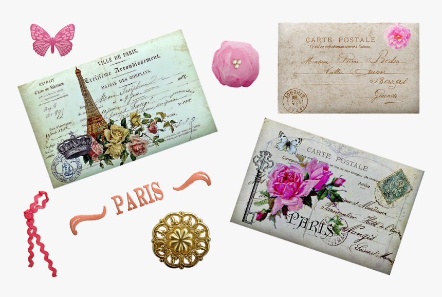 Rosa Rugosa, HD Png Download