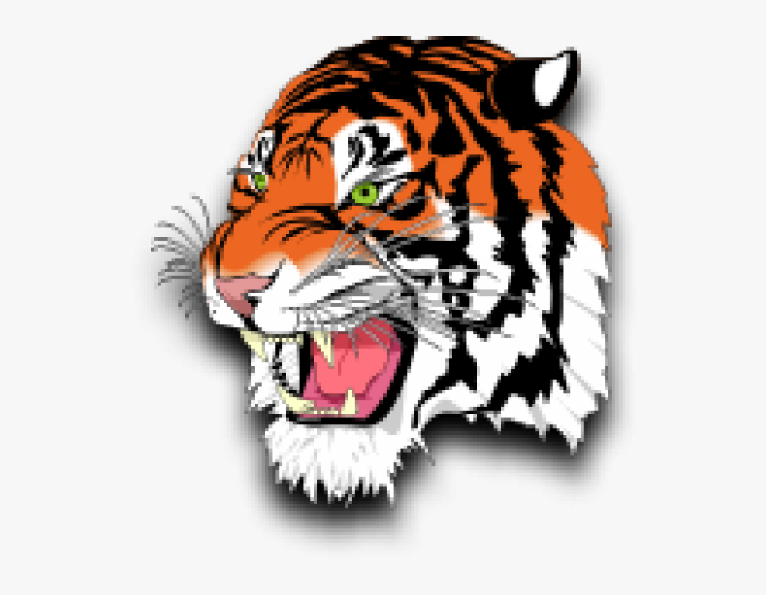 Tiger Reading A Book Clipart Clip Library Stock Description - Lynn Tech Tigers, HD Png Download