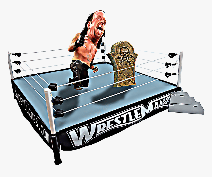Wrestlemania Xx, HD Png Download