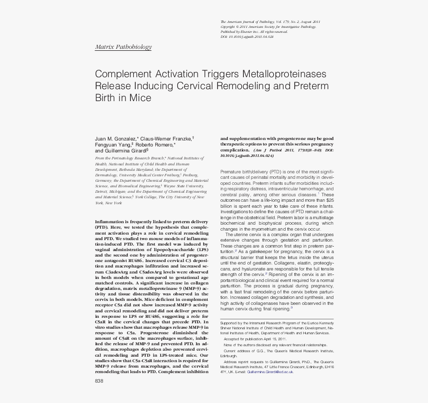 Document, HD Png Download