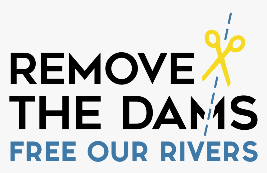 Logo Dedamming - Graphic Design, HD Png Download