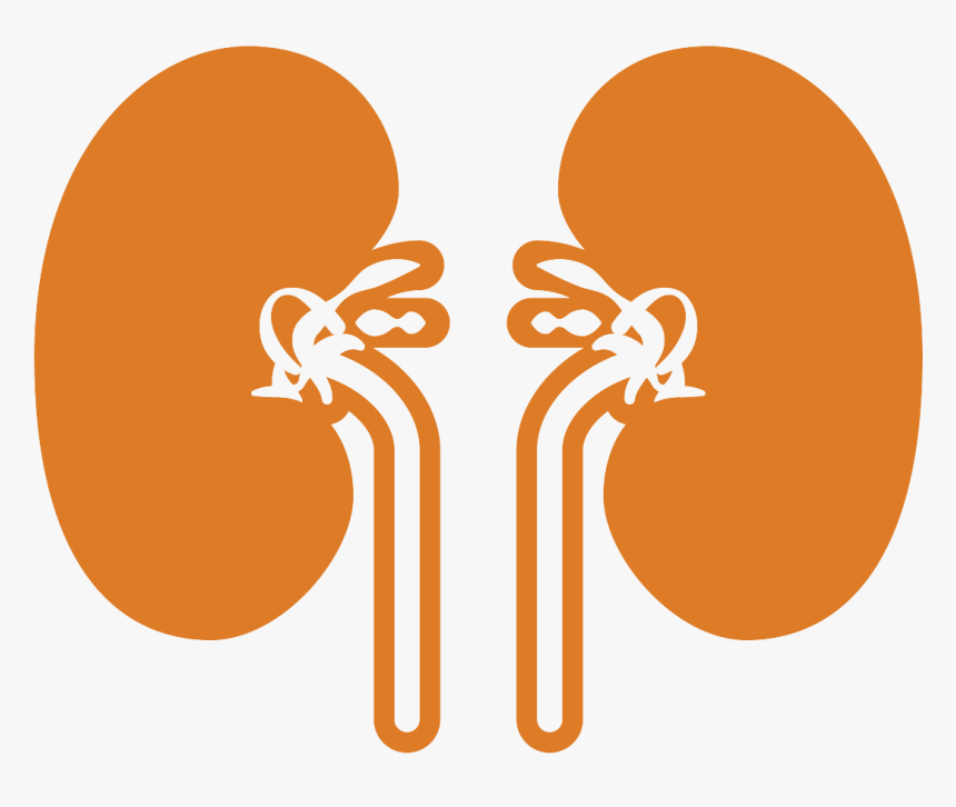Sick Clipart Pancreas - Illustration, HD Png Download