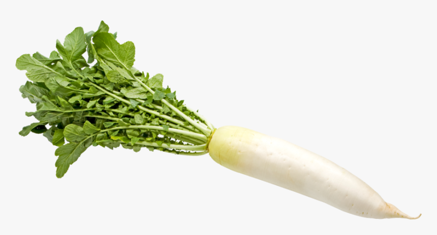 野菜 大根, HD Png Download