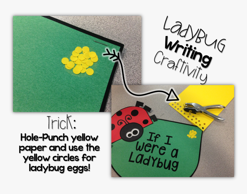 Transparent Butterfly Life Cycle Clipart, HD Png Download