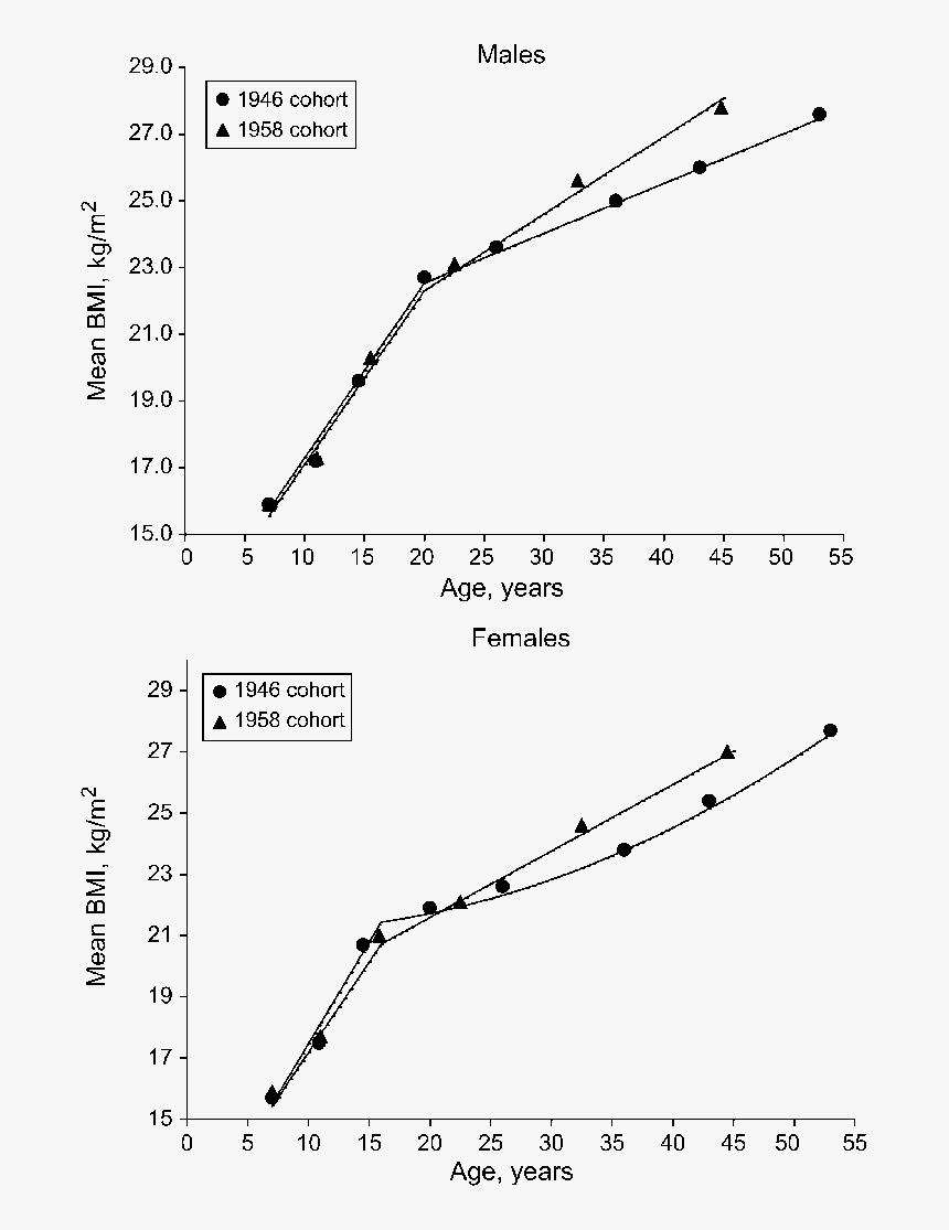 Plot, HD Png Download