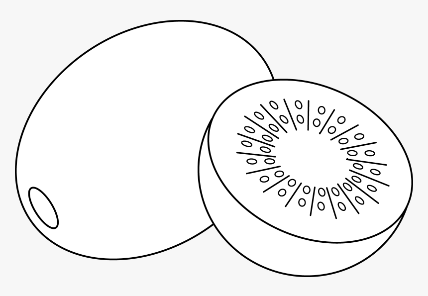 Circle Clipart Fruit - Outline Of Kiwi Fruit, HD Png Download
