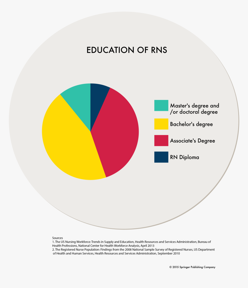 Nursing Statistics In The Us Minority Nurse With Percentage - Circle, HD Png Download
