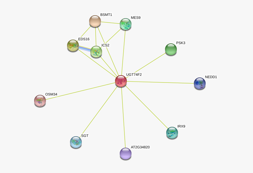 Ugt74f2 Protein - Circle, HD Png Download