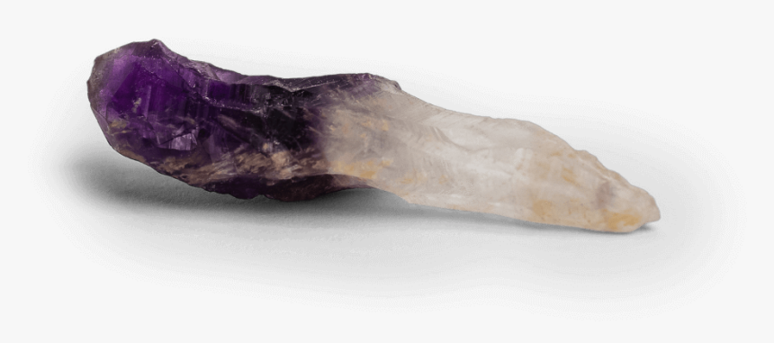 Vegetable, HD Png Download