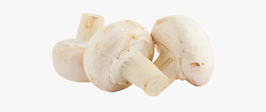 Champignon Mushroom, HD Png Download