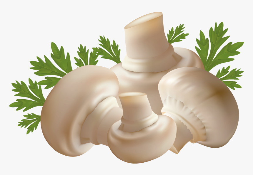 Png Image Gallery Yopriceville - Mushrooms Png, Transparent Png