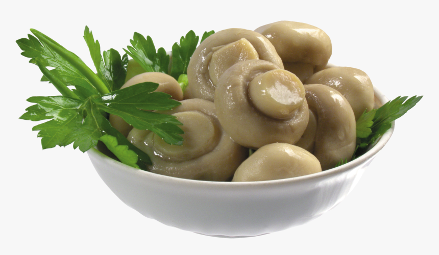 Mushroom Png Image - Green Chilli Pickle Label, Transparent Png