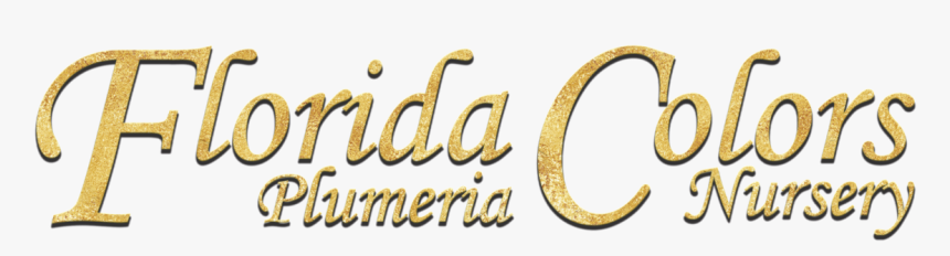 Calligraphy, HD Png Download