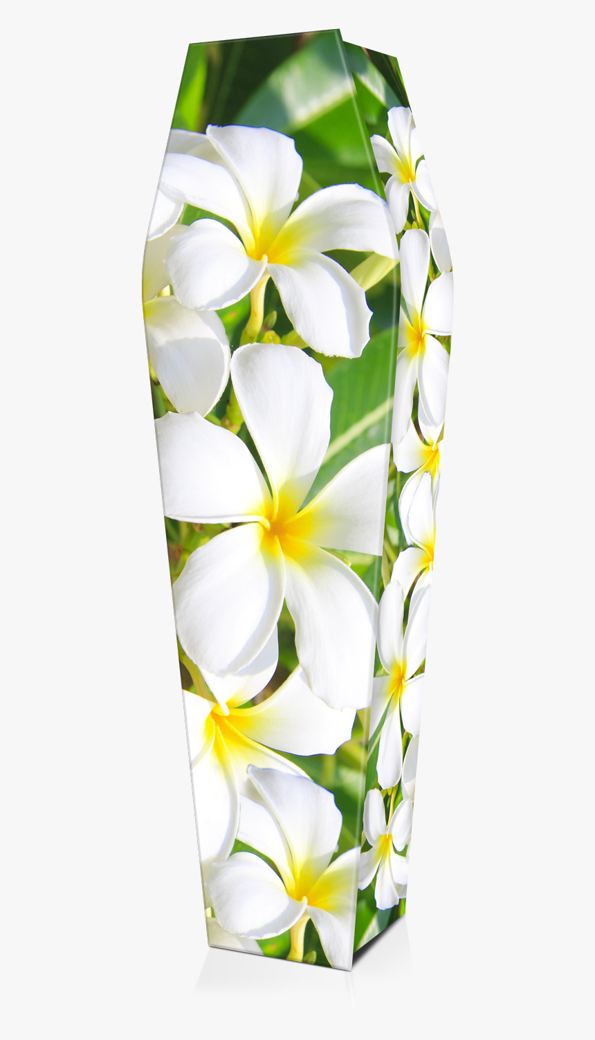 Flower, HD Png Download