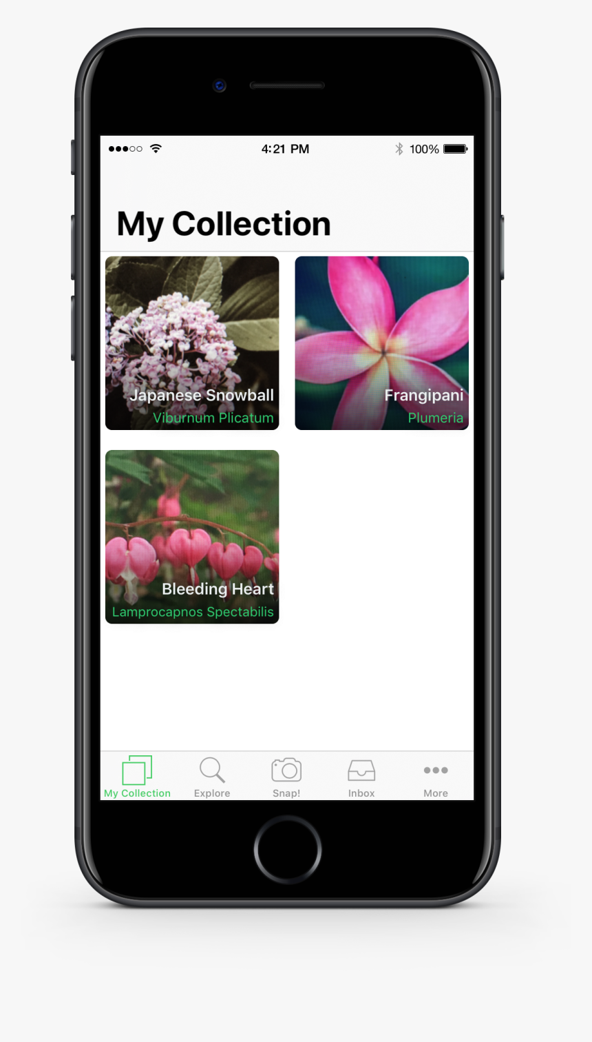 Mobile Phone, HD Png Download