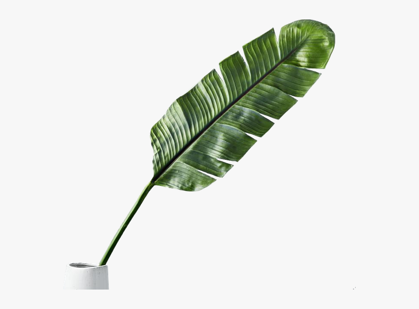 Grass, HD Png Download