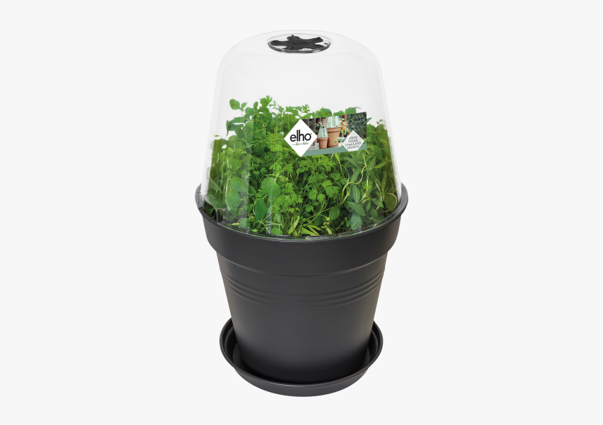 Elho Green Basic Anzuchthaus S, HD Png Download