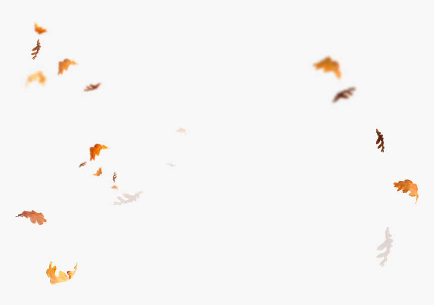 Leaf Png - Butterfly, Transparent Png