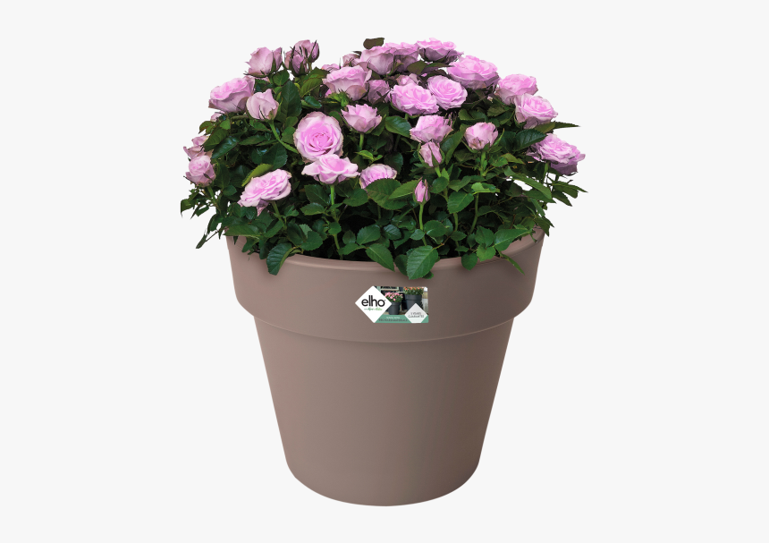 Elho Green Basics Top Planter, HD Png Download