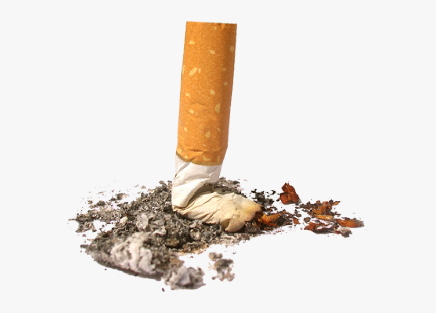 Cigarette Png Free Download - Don T Litter Cigarette Butts, Transparent Png