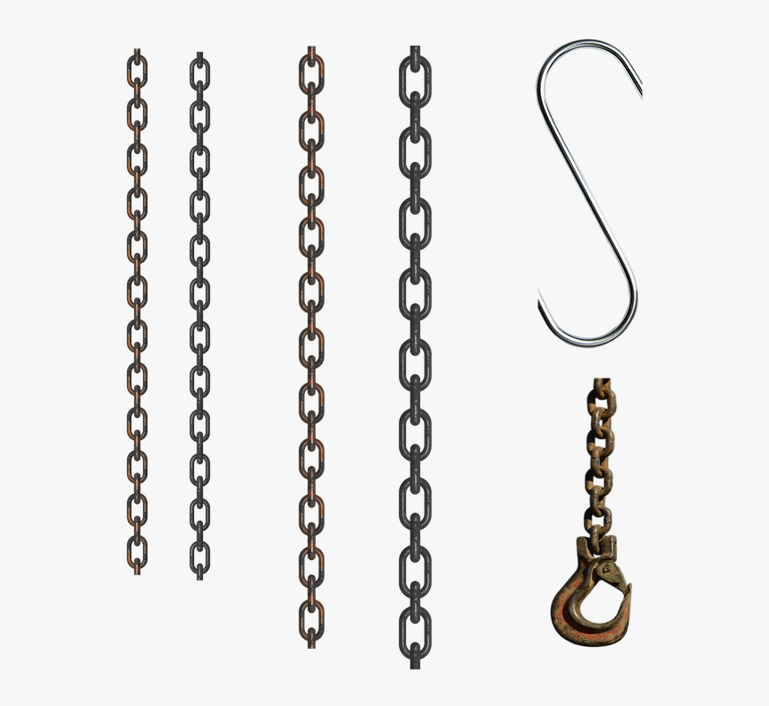 Vector, HD Png Download