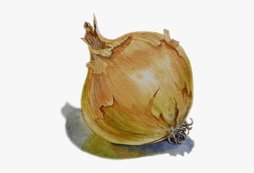Acrylic Painting Of Onion, HD Png Download